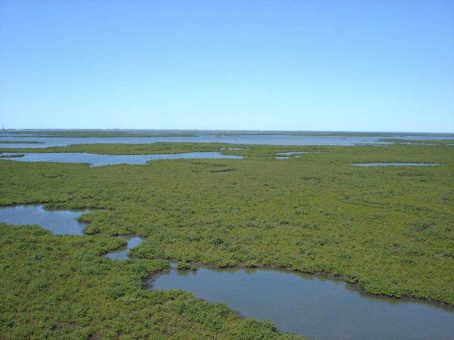 Mission-Aransas National Estuarine Research Reserve. Picture
