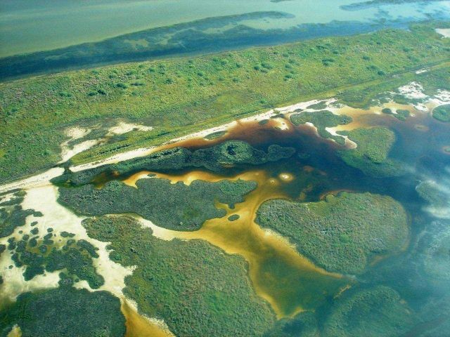 Mission-Aransas National Estuarine Research Reserve. Picture