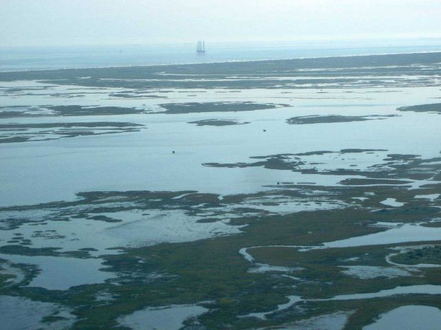 Mission-Aransas National Estuarine Research Reserve. Picture