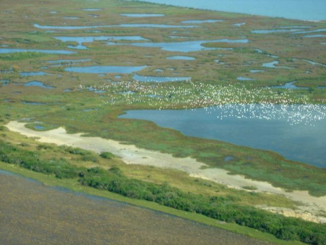 Mission-Aransas National Estuarine Research Reserve. Picture