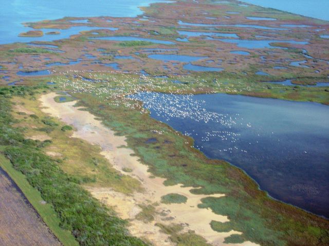 Mission-Aransas National Estuarine Research Reserve. Picture