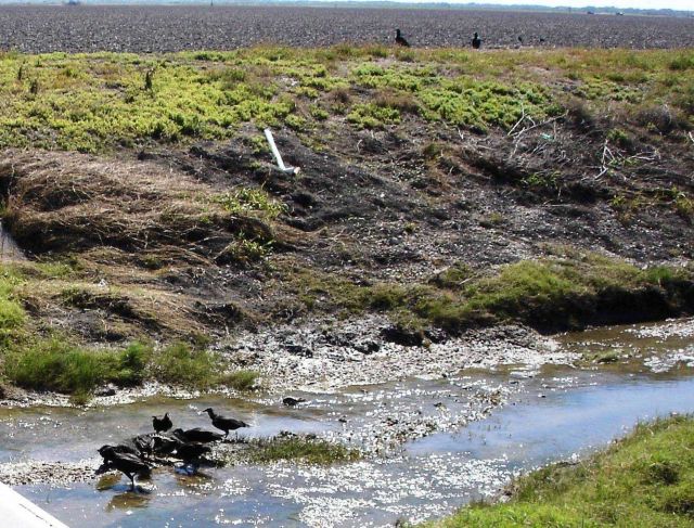 Mission-Aransas National Estuarine Research Reserve. Picture