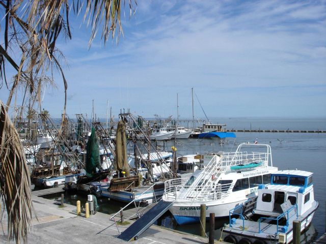 Mission-Aransas National Estuarine Research Reserve. Picture