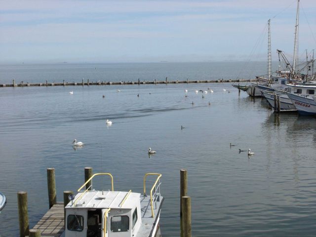 Mission-Aransas National Estuarine Research Reserve. Picture