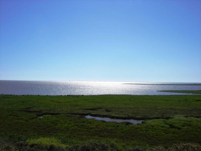 Mission-Aransas National Estuarine Research Reserve. Picture