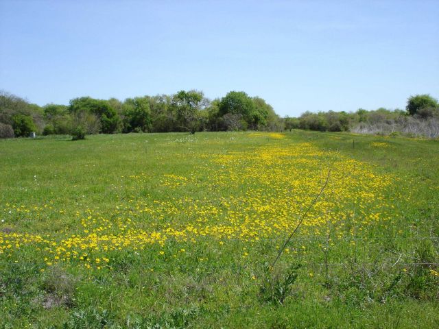 Mission-Aransas National Estuarine Research Reserve. Picture