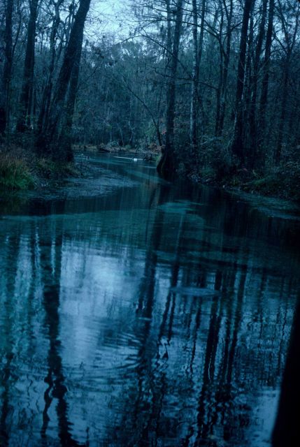 The karst topography of Florida has many springs emanating from the limestone. Picture