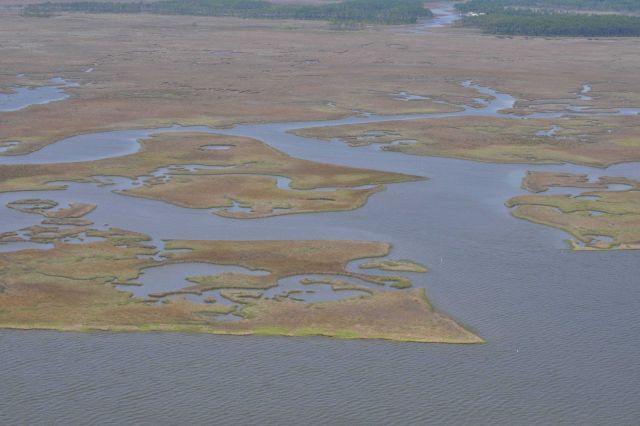 Aerial survey along the shoreline of Southwest Bayou. Picture
