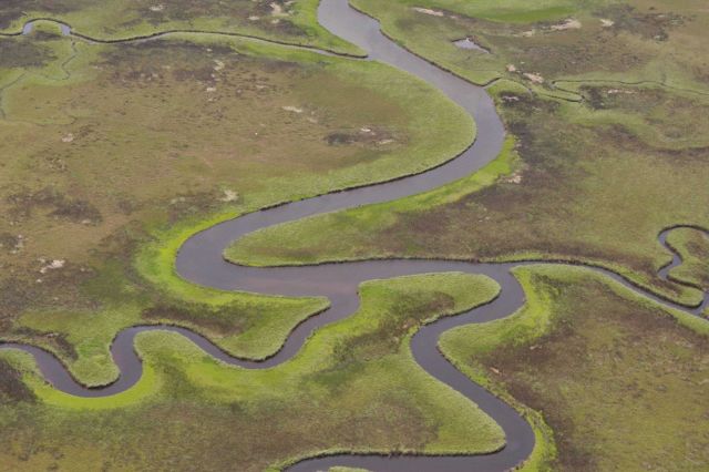 Aerial survey of Rosa Bayou, near the Southwest boundary of the Grand Bay NERR. Picture