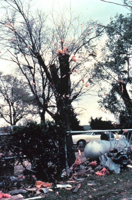 Tornado leaves a path of damage to treetops and windswept homes Picture