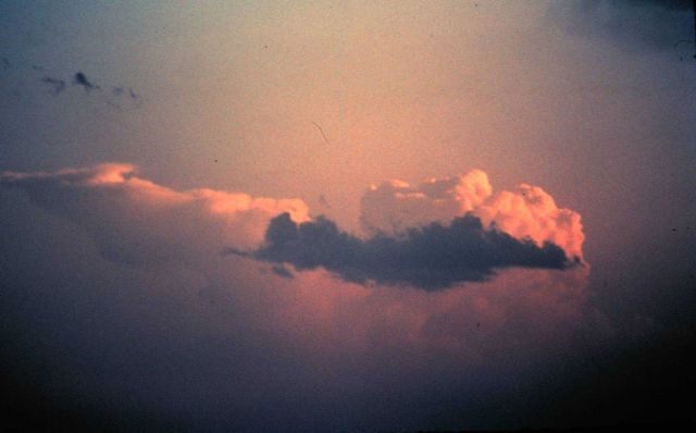 Cumulonimbus (Thunderstorm) forming in background Picture