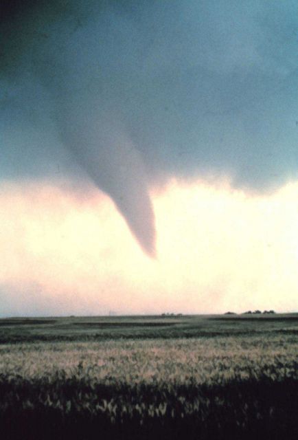 Tornado at beginning of life - condensation funnel has not yet reached ground Picture