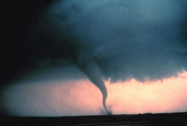 Tornado with dust and debris cloud forming at surface Picture