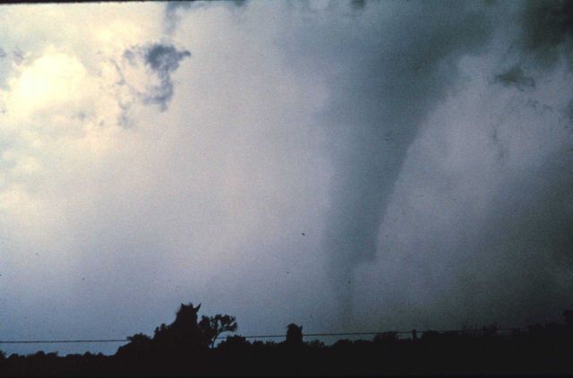 Roff Tornado. Picture