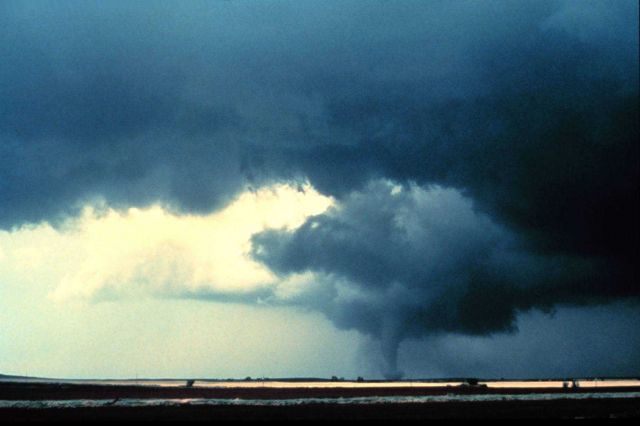 Alfalfa Tornado. Picture