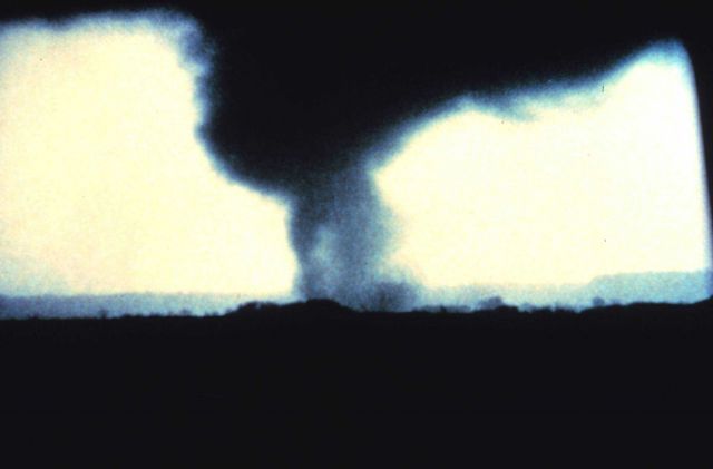 Orienta Tornado. Picture