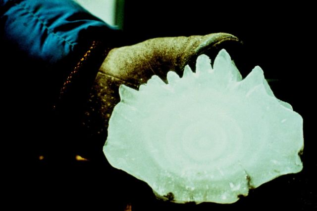 A very large hailstone. Picture