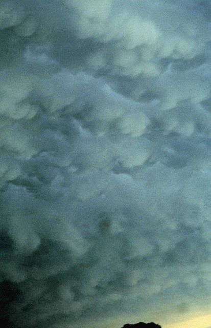 Mammatus clouds. Picture