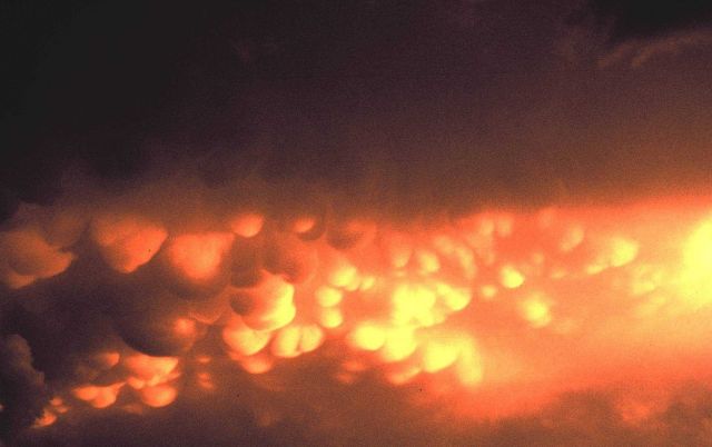 Mammatus clouds. Picture