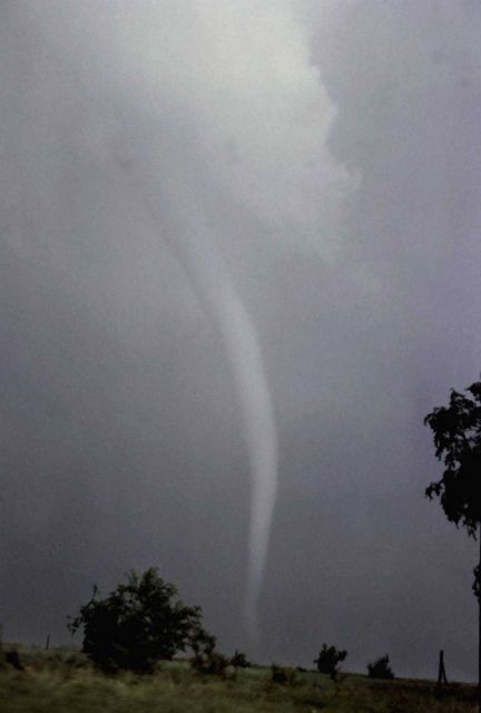 Union City Tornado. Picture