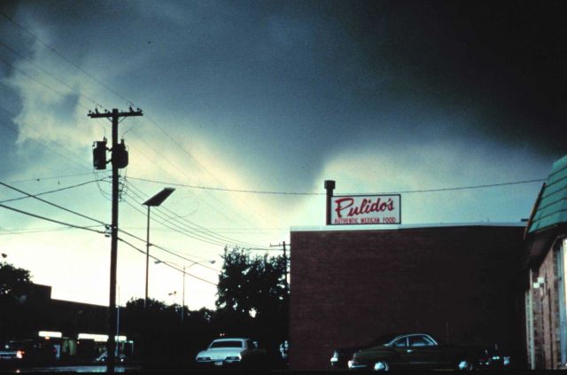 Dallas Tornado. Picture