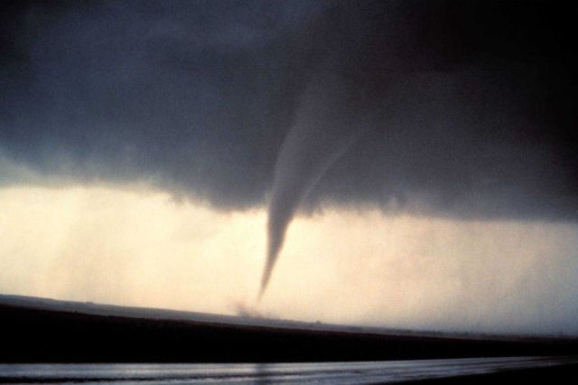 Alfalfa Tornado. Picture
