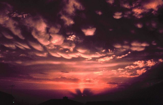 Mammatus clouds. Picture