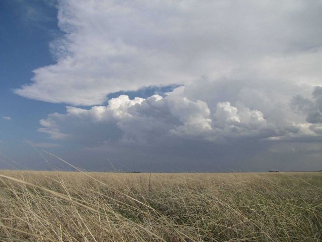 A thunderstorm in the Texas Panhandle Picture