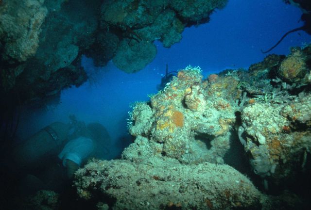 Reef scene Picture