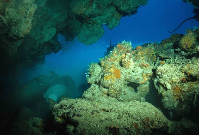 Reef scene Picture
