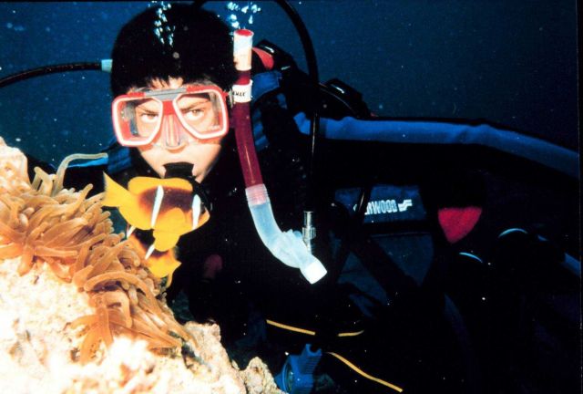 Mr.Al Momany's son diving on a Red Sea reef Picture