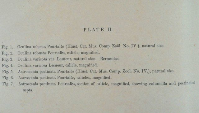 Text accompanying Plate II Picture