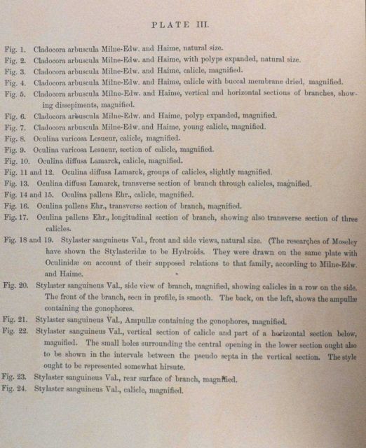 Text accompanying Plate III Picture