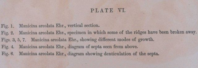 Text accompanying Plate VI Picture