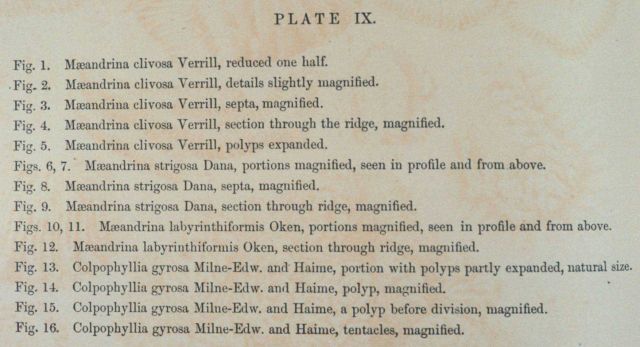 Text accompanying Plate IX Picture