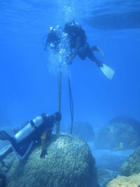 Scuba Divers - Chuuk Lagoon Picture