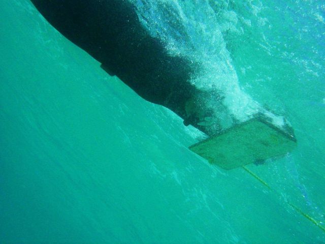 Snorkeler on tow-board looking for debris. Picture
