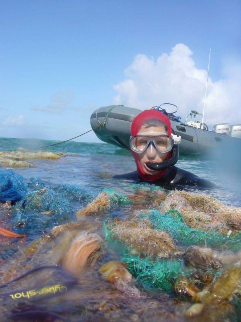 Portion of large derelict net on surface while still entangled on reef. Picture