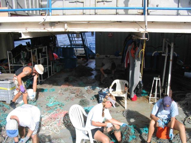 Sorting and cataloging data on nets to identify source of net material Picture