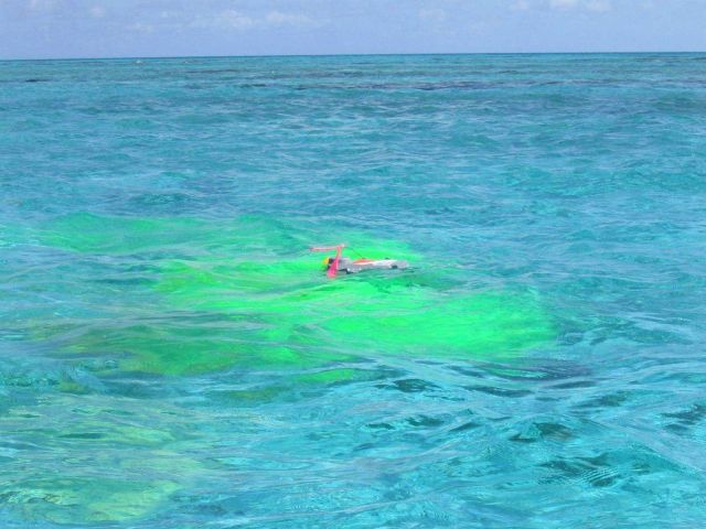Green dye for determining current direction within Pearl and Hermes Atoll Lagoon Picture