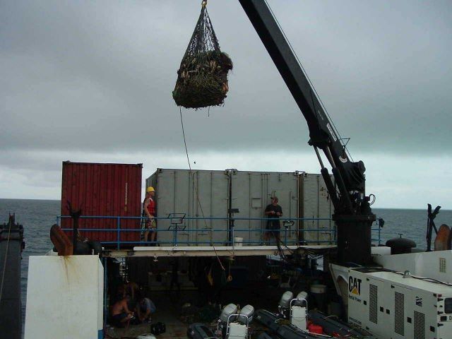 Putting debris in shipping containers for final disposition. Picture