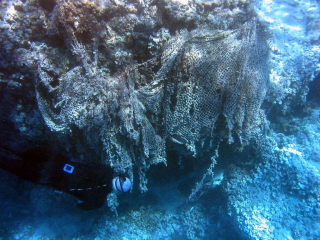 Snorkeler inspecting net debris entangled on coral rock outcrop Picture