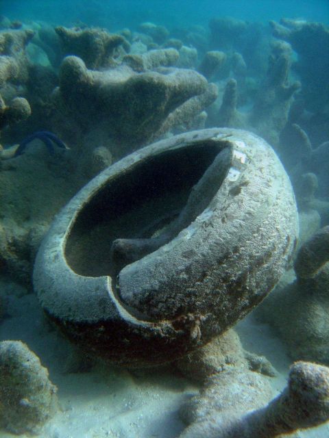 Marine debris Picture