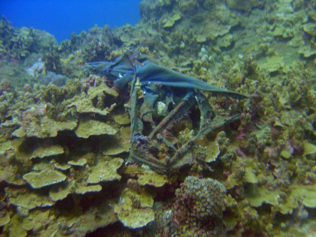 Marine debris Picture