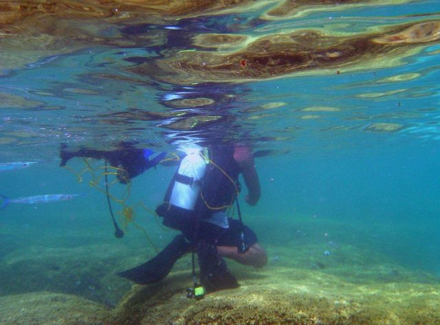 Dive tourism can place additional stress on reefs Picture