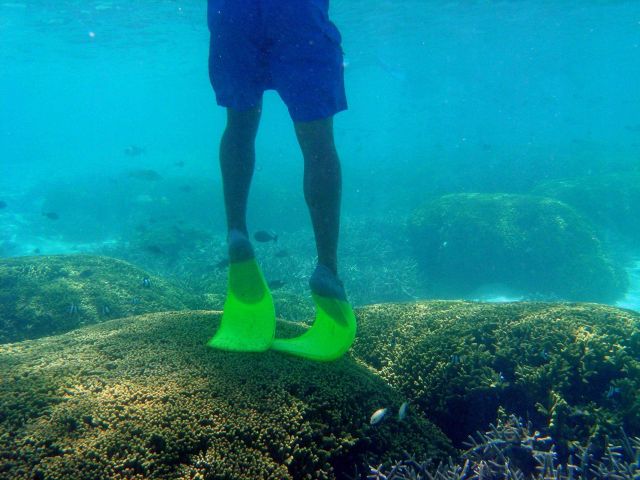 Dive tourism can place additional stress on reefs Picture