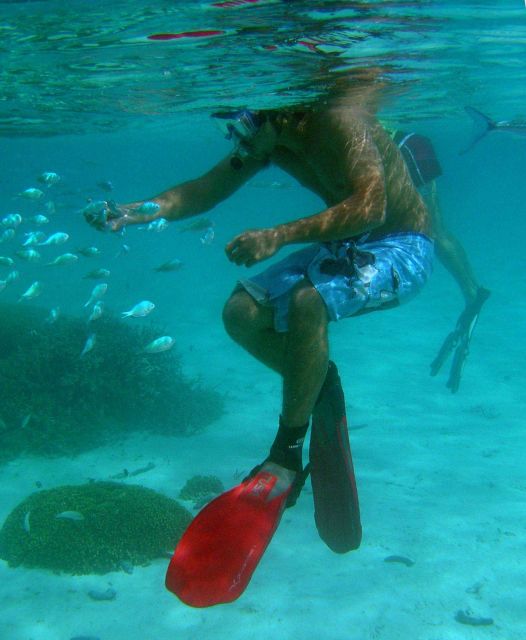 Make sure not to touch the bottom when snorkeling or scuba diving. Picture