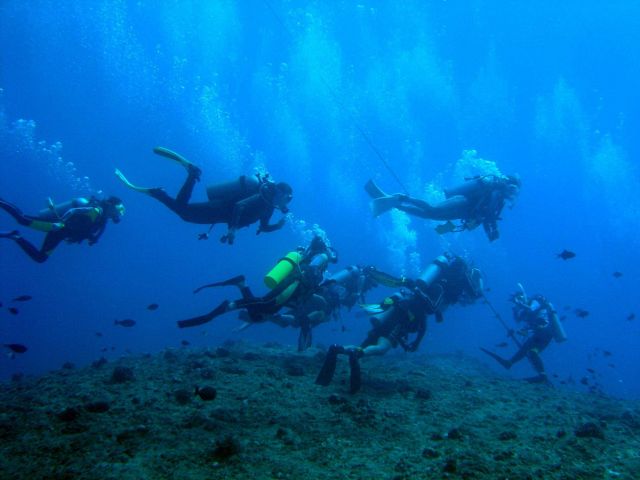 Make sure not to touch the bottom when snorkeling or scuba diving. Picture