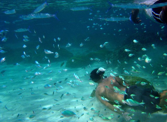 Dive tourism can place additional stress on reefs Picture