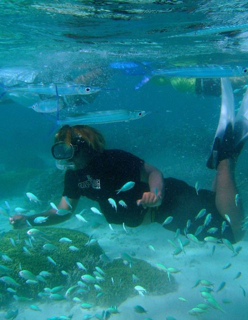 Dive tourism can place additional stress on reefs Picture